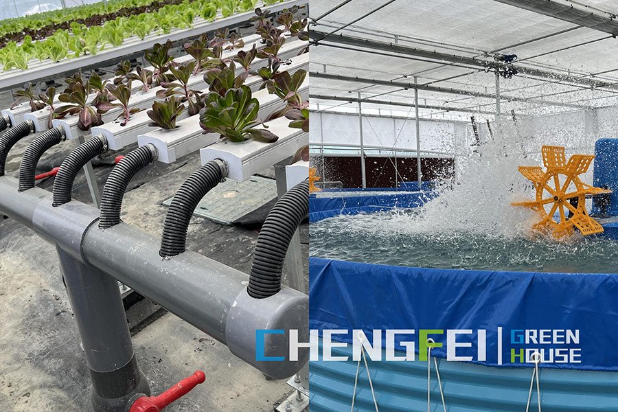 Commercial modular aquaponics system used in greenhouse