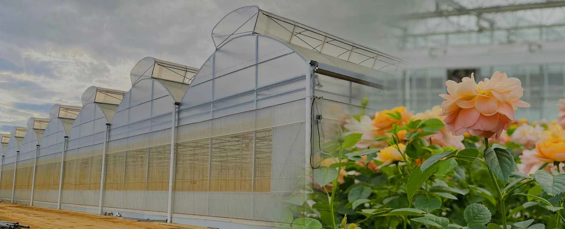 1920x780 HomePage Banner (10)