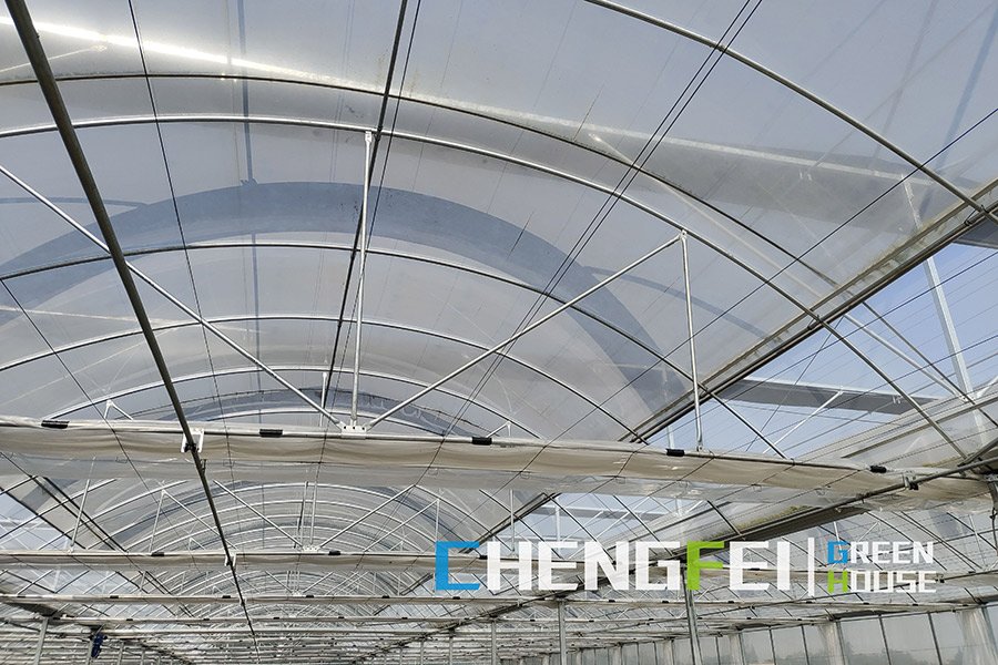 Inside a CFGET film greenhouse with roof vents and movable shade equipment