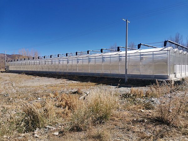 Polycarbonate greenhouse project in Uzbekistan