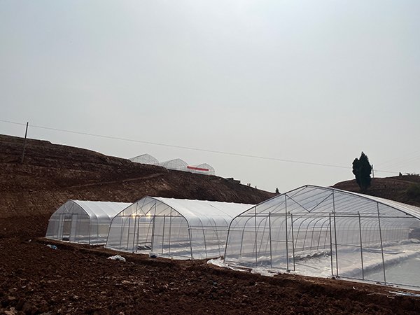 Tunnel greenhouse project in Ghana